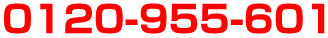 0120955601